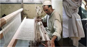 شاهتوش از گرانترین پارچه‌ّای جهان