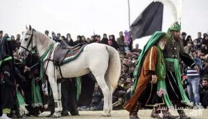 نمادپردازی در آیین عاشورا-ذوالجناح در تعزیه